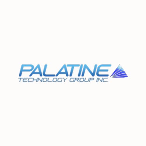Technology Group Palatine 